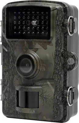 Zdjęcie produktu dla Fototapeta HOME WILDCAM1