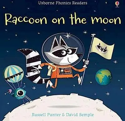 Productafbeelding van Raccoon on the Moon