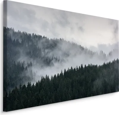 Obrázek produktu pro Mlžný borovicový les Obraz divoké přírody s módním 3D efektem do obývacího pokoje 120x80cm