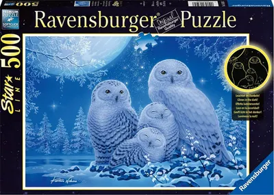 Produktbild von Eulen im Mondschein Ravensburger 16595
