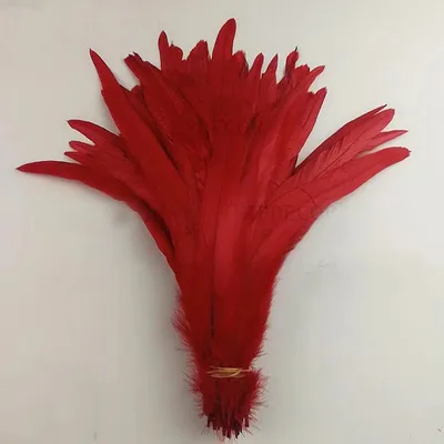 Obrázek produktu pro Kohoutí peří barvené 20-30 cm, barva červená / 1ks