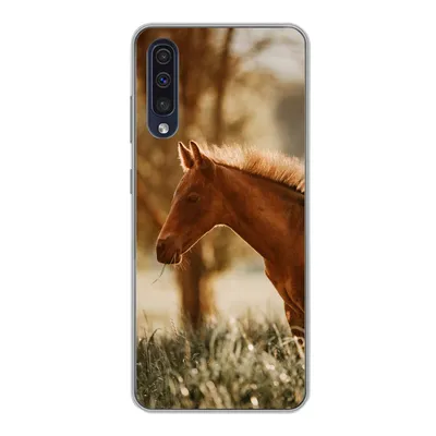 Produktbild von MuchoWow® Handyhülle Schutzhülle Hülle für Samsung Galaxy A30s Pferd - Licht - Wiese Silikon Softcase Handy Hülle - Karteninhaber