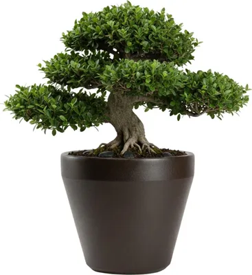 Obrázok produktu pre HowHomely | Kvetináč – obal na kvetináč – hnedý – Š61xV56 cm – kvetináč – kvetináč – ľahká údržba