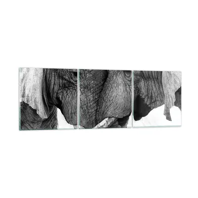 Produktbild von Bilder auf glas - 3 Teile - Elefanten Safari Bond - 90x30cm - Glasbilder - Wandbilder - Bilder - zum Aufhängen bereit - Wanddekoration aus Glas - Glas Bilder - Wandbild auf Glas - GCA90x30-4973