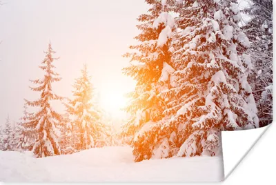 Produktbild von MuchoWow® Poster Sonne - Bäume - Schnee 120x80 cm - Bilder