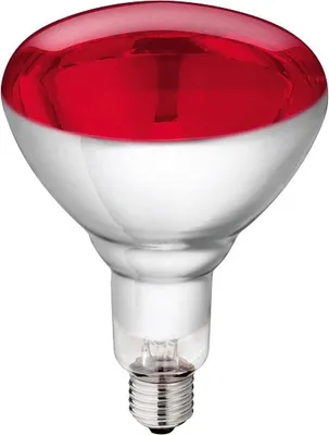 Produktbild von PHILIPS Infrarotlampe für Tieraufzucht 250 Watt