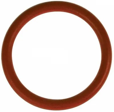 Immagine prodotto di Delonghi guarnizione 43mm diffusore caffè EAM ESAM ECAM ETAM Magnifica Intensa