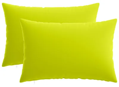 Obrázok produktu pre vidaXL Vankúšový poťah, 2 kusy, farba: svetlozelená, rozmer: 50 x 80 cm, materiál: polyester