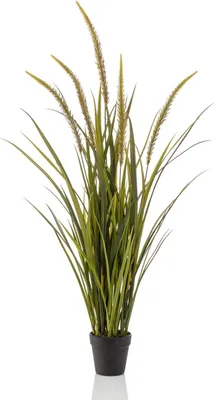 Produktbild von artplants.de Deko Fuchsschwanz Gras ANOUR mit Rispen, grün-braun, 115cm - Künstliches Grasbündel