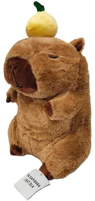 Immagine prodotto di Peluche di capibara con un frutto in testa, 30 cm