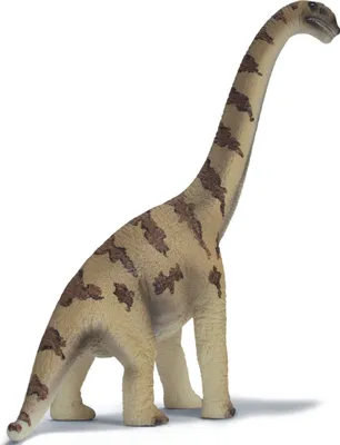 Image de SCHLEICH 14503 Brachiosaurus
