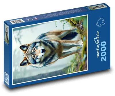 Obrázek produktu pro Puzzle 2000 Vlk v kouzelném lese - martinpuzzle