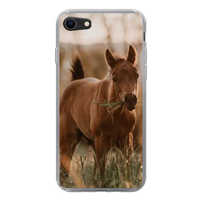 Produktbild von MuchoWow® Handyhülle Schutzhülle Hülle für iPhone 8 Pferd - Sonne - Gras Silikon Softcase Handy Hülle - Schutzhaube