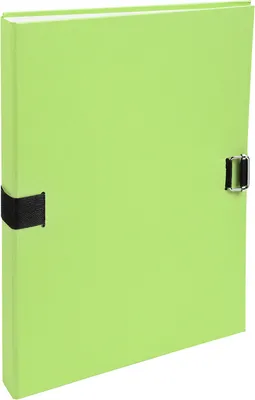 Image de EXACOMPTA Porte-documents Forever DIN A4 vert clair