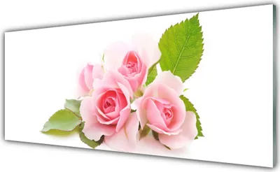 Produktbild von Acrylglasbilder 125x50 Wandbild Druck Rosen Pflanzen