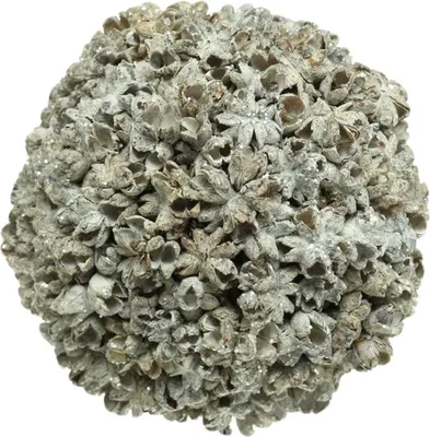 Produktbild von Weihnachtskugel Schneeball Weiß Ø10cm Deko Baum Tisch