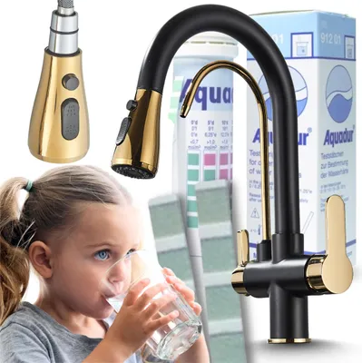Produktbild von 3-Wege Küchenarmatur NORDIC mit Wasserfilter-Anschluss, herausziehbare Brause, 360° schwenkbar, getrennte Wasserwege, Keramikkartusche Shwarz-Gold