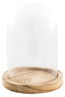 Immagine prodotto di Campana di vetro con base in legno 13 cm, campana di vetro legno 13,7 cm -