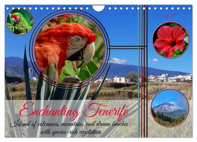 Produktbild von Verzauberndes Teneriffa (Wandkalender 2027, DIN A4, Querformat), CALVENDO 12-Monats-Wandkalender