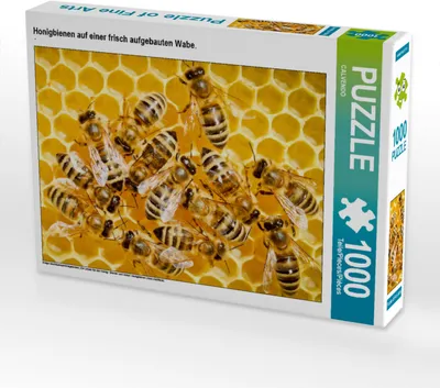 Produktbild von CALVENDO Puzzle Honigbienen auf einer frisch aufgebauten Wabe. | 1000 Teile Lege-Größe 64x48cm Foto-Puzzle für glückliche Stunden