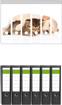 Produktbild von Wallario 6 Stück breite Ordner inkl. Klebeetiketten mit Motive Katze und Hund in Harmonie - Kuschelnde Tiere -  Set mit Rückenschildern / Ordnerrücken Stickern
