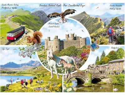 Productafbeelding van Gibsons Snowdonia, 1000 stukjes
