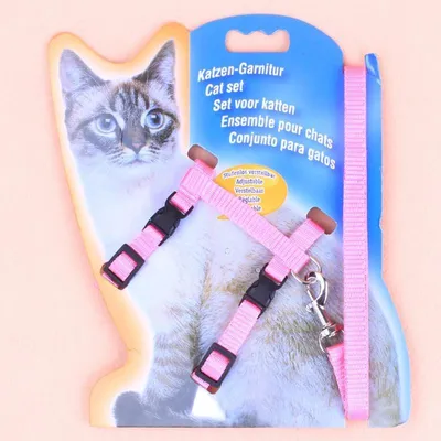 Image de Harnais pour chat avec laisse - Harnais de poitrine réglable pour chats - Fabriqué en nylon résistant - Confortable à porter - Pour les chats jusqu'à 5 kg - Rose