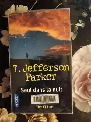 Image de Seul dans la nuit
