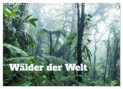 Produktbild von Wälder der Welt (Wandkalender 2027 DIN A3 quer), CALVENDO Monatskalender