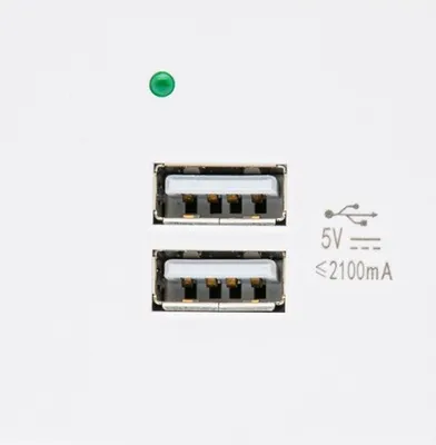 Image de Prise USB Chargeur 2x port USB jusqu'à 2.1A Fast Charge Prise murale modulaire encastrée Prise murale encastrée Montage encastré (Prise USB 2.1A, Blanc)