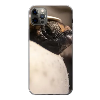 Produktbild von MuchoWow® Handyhülle Schutzhülle Hülle für iPhone 12 Pro Max Schildkröte - Baby - Ei Silikon Softcase Handy Hülle - Hartschale