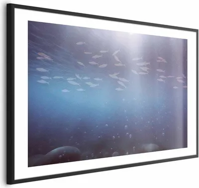 Produktbild von Posterpapier Poster - Fish in the Depths 90x60 cm Tiere g-C-10143-ao-a