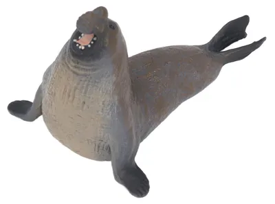Immagine prodotto di Modello di animale marino, solido giocattolo didattico e realistico, simulazione, decorazione per la casa, figure marine