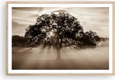 Produktbild von Gerahmtes Poster - Rahmen in heller Eiche - Baum Feld Natur - 91,5x61 cm - Wand Bild - Wanddeko - Wandbilder - Kunstposter - Wandposter - Bilderrahmen - Bilder - Kunstdruck - Wandbild P2NAA91x61-3811