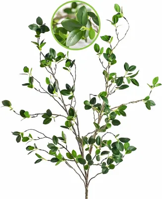 Imagen del producto de Ramas de ficus y eucalipto, 2 unidades, color verde, para jarrones y decoración