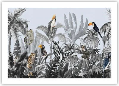 Produktbild von Poster - Poster ohne Rahmen - Dschungel Tiere Tukane - 70x50 cm - Wand Bild - Wanddeko - Wandbilder - Kunstposter - Wandposter - Bilder - Kunstdruck - Wanddekoration - Wandbild - P2XAA70x50-4662