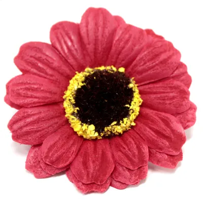 Produktbild von Domosfera Seifen-Gänseblümchen Rot Duftende Dekoblume