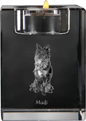 Produktbild von Mudi - Kerzenhalter mit Hundefoto, Teelichthalter aus Kristall, personalisiertes Geschenk der Marke Art-Dog