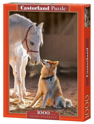 Produktbild von Puzzle mit 1000 Teilen, einzigartige Freundschaft, 105076 Castorland