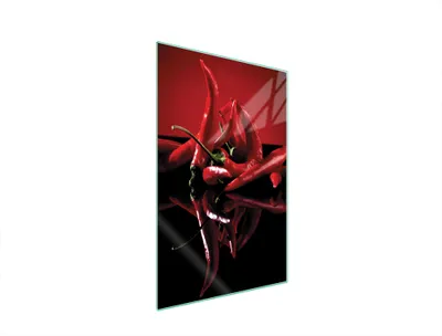 Produktbild von Herdabdeckplatte 35x52 Glaskeramikkochfeld Abdeckung Spritzschutz Glasplatte Deko Schneidebrett Chilli Rot