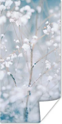 Produktbild von MuchoWow® Poster Äste - Schnee - Winter - Natur - Botanisch 40x80 cm - Dekoration