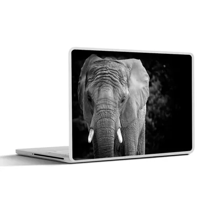 Produktbild von MuchoWow® Laptop Aufkleber Sticker Cover Porträt eines Elefanten in Schwarz und Weiß 25x18 cm - Laptop-Deko