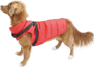 Image de Veste d'hiver pour chiens Famanu, imperméable, avec anneau en D - Rouge, taille M
