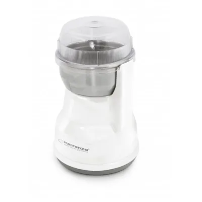 A white electric coffee grinder with a clear lid, shown from a slightly elevated front-left angle on a white background.
