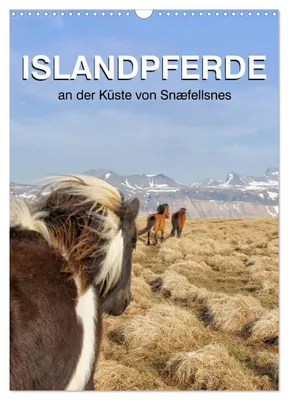 Produktbild von ISLANDPFERDE an der Küste von Snæfellsnes (Wandkalender 2027 DIN A3 hoch), CALVENDO Monatskalender