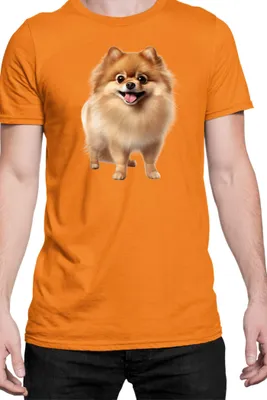 Immagine prodotto di Maglietta da uomo Dogs Breeds Pomeranian Dog Breed 005, Man S , Orange