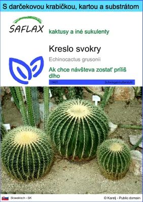 Obrázok produktu pre SAFLAX Darčeková sada - kreslo svokry - Echinocactus grusonii - 40 Semená - S darčekovou krabičkou, prepravným štítkom, darčekovou kartou a pestovateľským médiom
