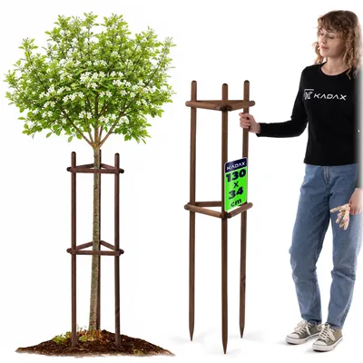 Produktbild von KADAX Baumstütze 130 cm aus robustem Holz, Baumpfahl zur sicheren Fixierung junger Bäume & Sträucher, dreibeinige Pflanzenstütze aus Buchenholz für Garten (Braun)
