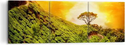 Produktbild von Bild auf Leinwand - Leinwandbild - Berg Baum Pfad Hügel - 120x40cm - Wand Bild - Wanddeko - Leinwanddruck - Bilder - Kunstdruck - Wanddekoration - Leinwand bilder - Wandkunst - CA120x40-2715