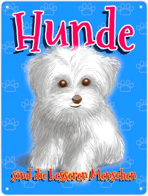 Produktbild von Metallschild XXL in 28x38 cm mit Hunde Motiv und Spruch - Hunde sind die